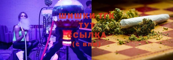 МДПВ Нефтегорск
